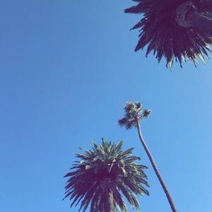 Meet your Posher, Najah